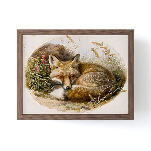 trajeado14 Fox Sleeping Vintage Illustration Framed Mini Art Print