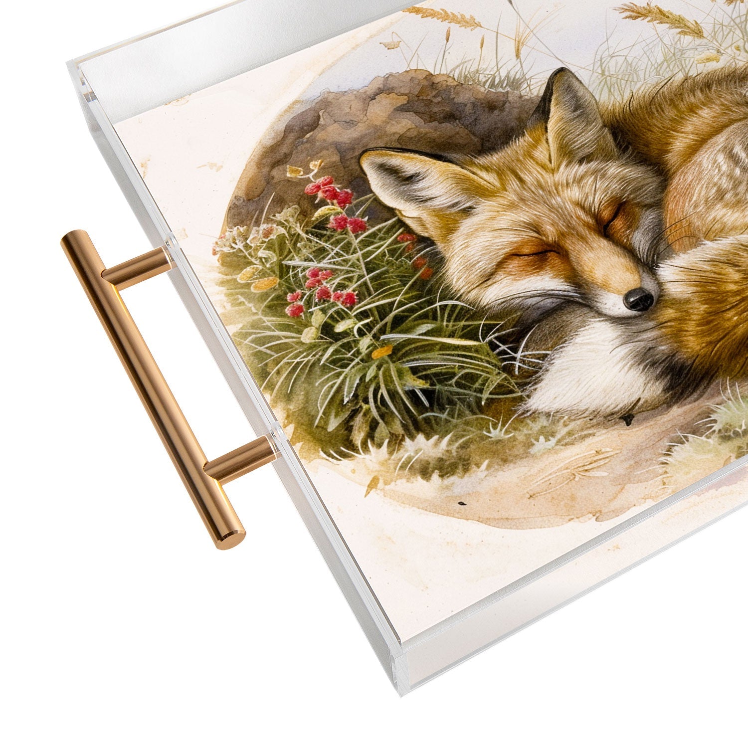 trajeado14 Fox Sleeping Vintage Illustration Acrylic Tray