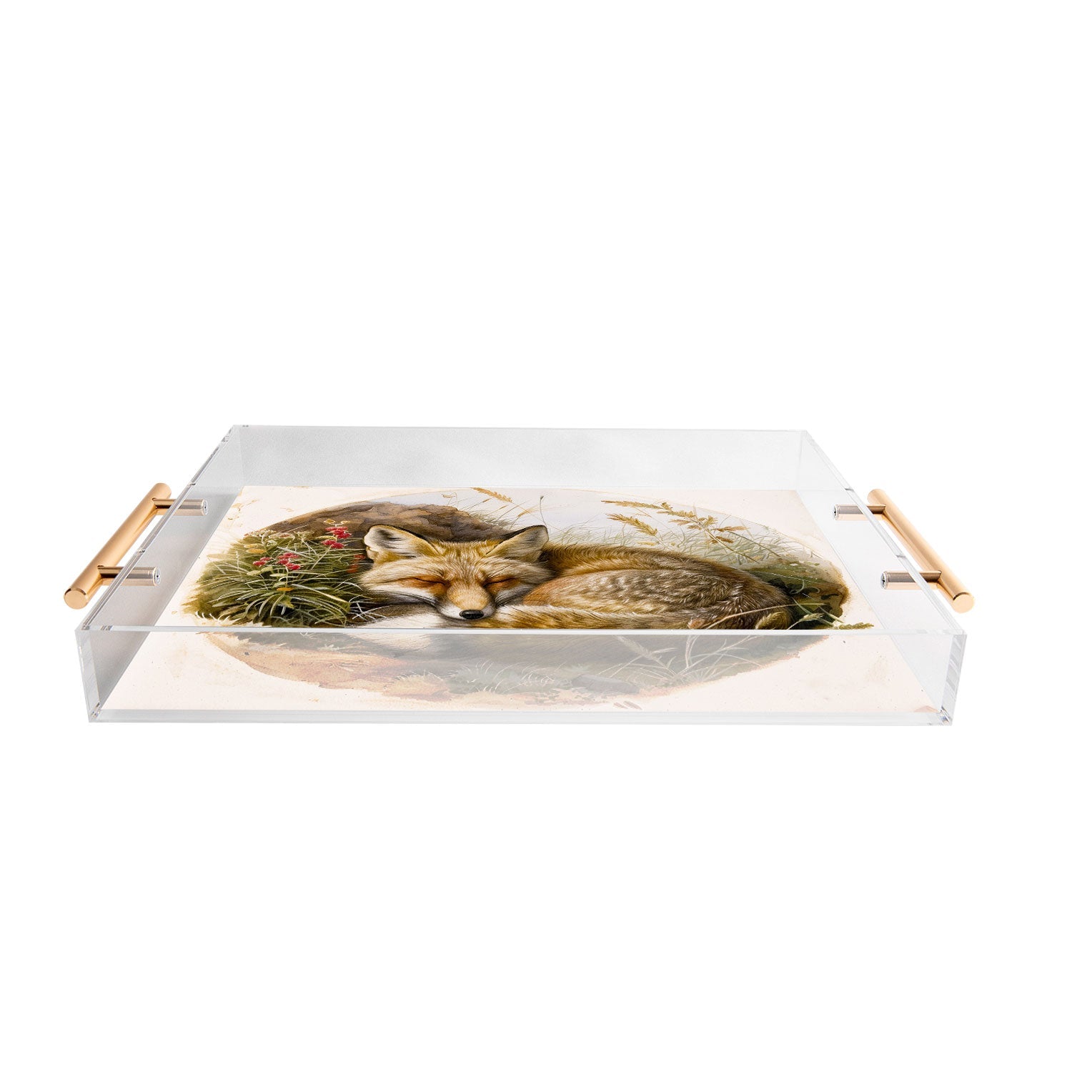 trajeado14 Fox Sleeping Vintage Illustration Acrylic Tray