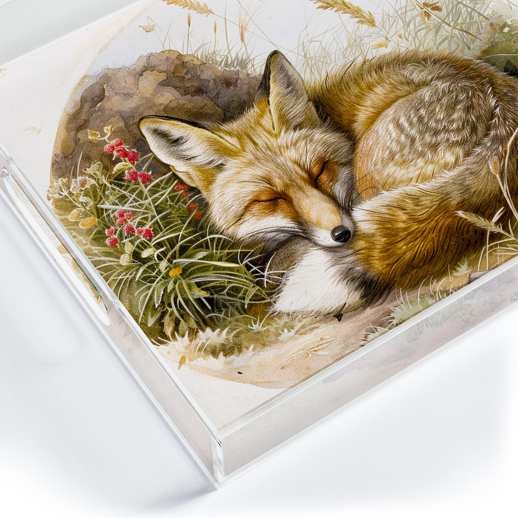 trajeado14 Fox Sleeping Vintage Illustration Acrylic Tray