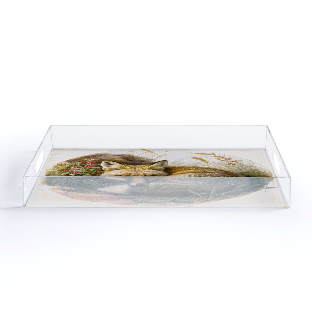 trajeado14 Fox Sleeping Vintage Illustration Acrylic Tray
