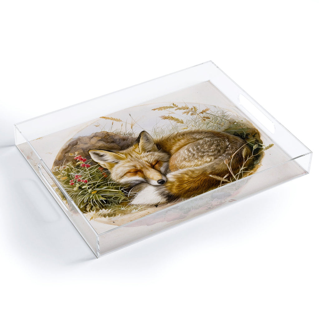 trajeado14 Fox Sleeping Vintage Illustration Acrylic Tray
