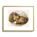trajeado14 Fox Sleeping Vintage Illustration Metal Framed Art Print