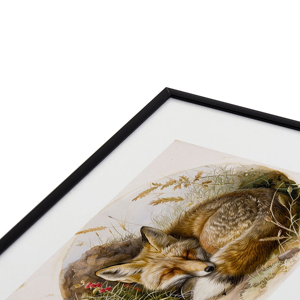 trajeado14 Fox Sleeping Vintage Illustration Metal Framed Art Print