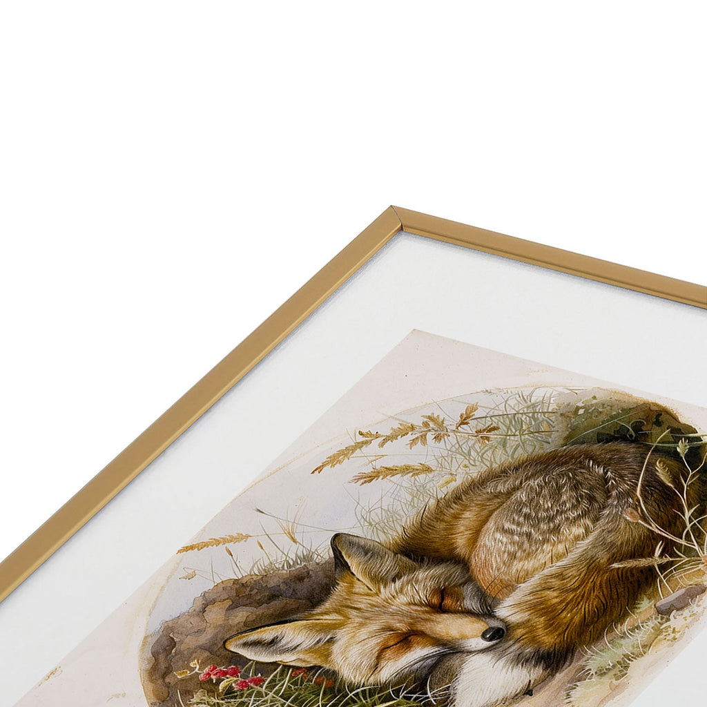 trajeado14 Fox Sleeping Vintage Illustration Metal Framed Art Print