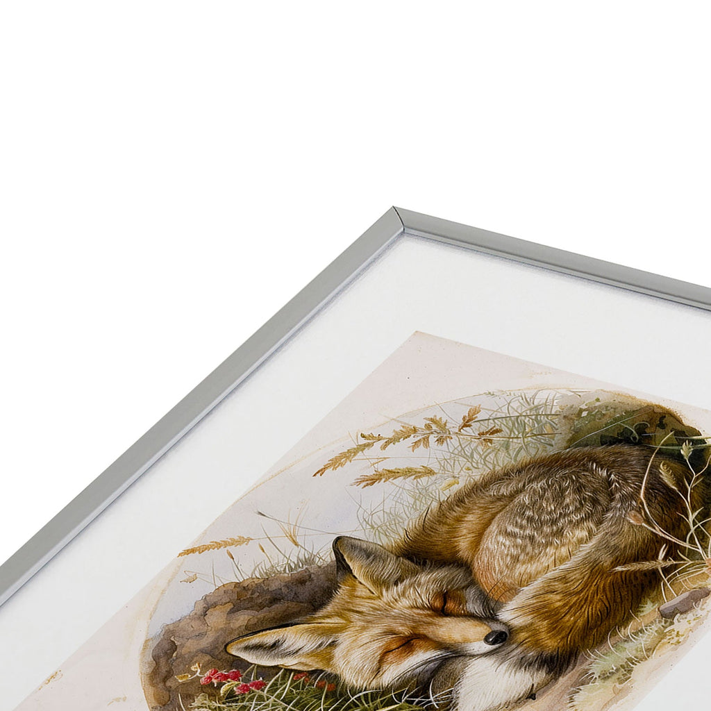 trajeado14 Fox Sleeping Vintage Illustration Metal Framed Art Print