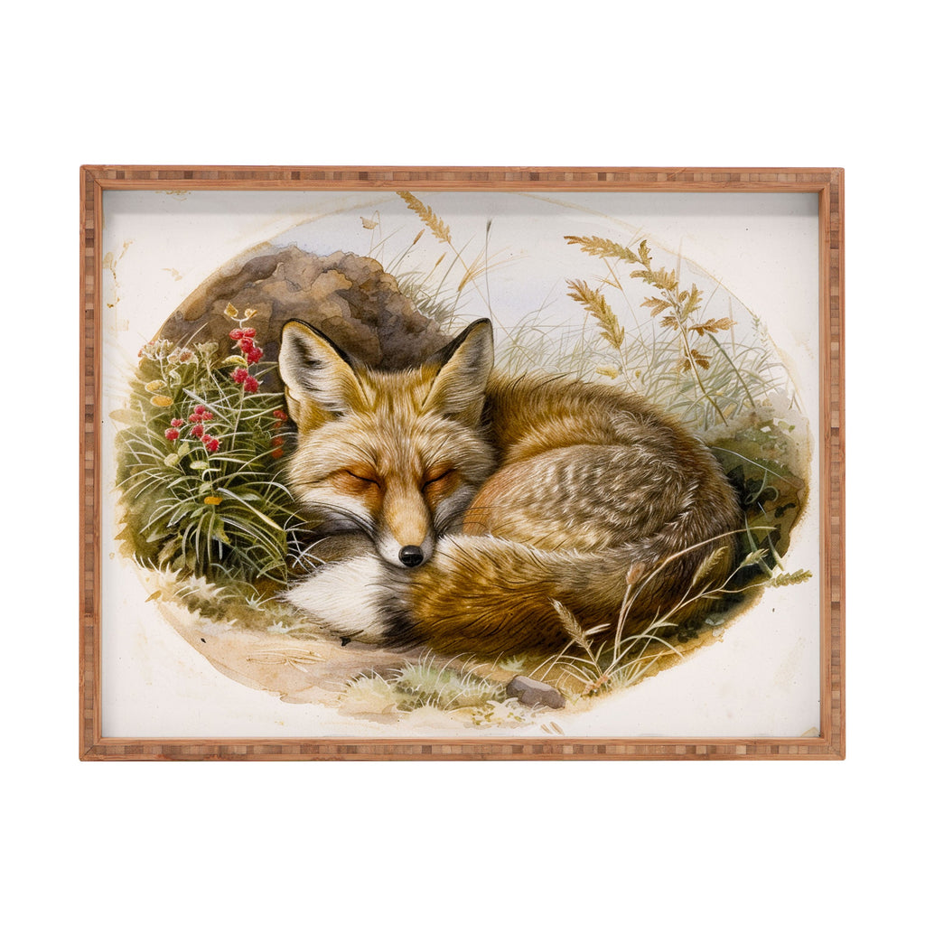 trajeado14 Fox Sleeping Vintage Illustration Rectangular Tray