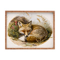 trajeado14 Fox Sleeping Vintage Illustration Rectangular Tray