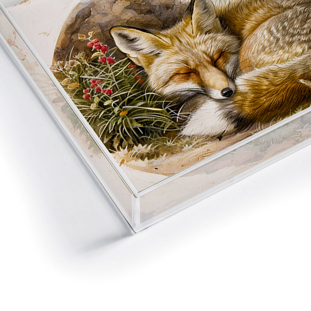 trajeado14 Fox Sleeping Vintage Illustration Acrylic Tray