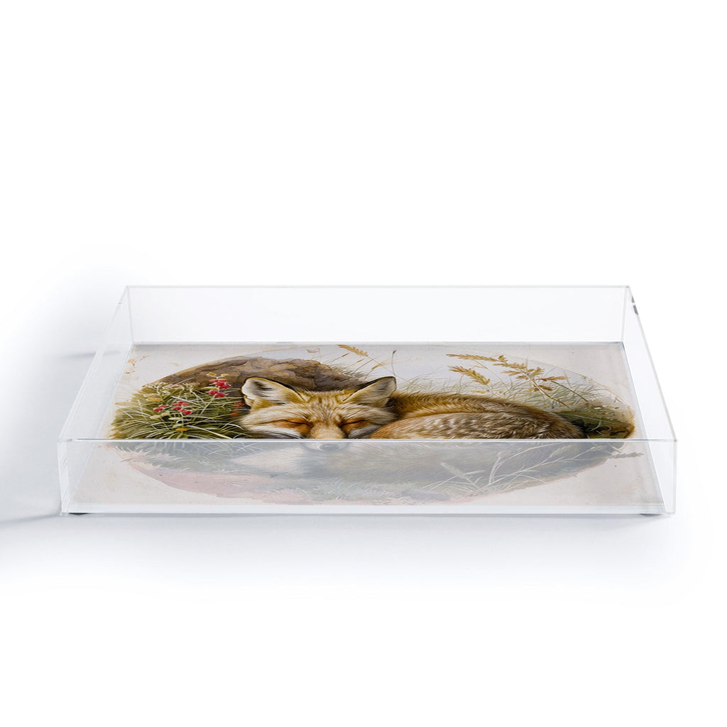 trajeado14 Fox Sleeping Vintage Illustration Acrylic Tray