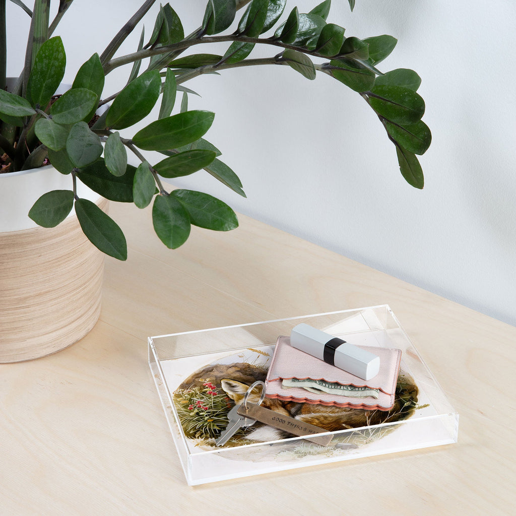 trajeado14 Fox Sleeping Vintage Illustration Acrylic Tray