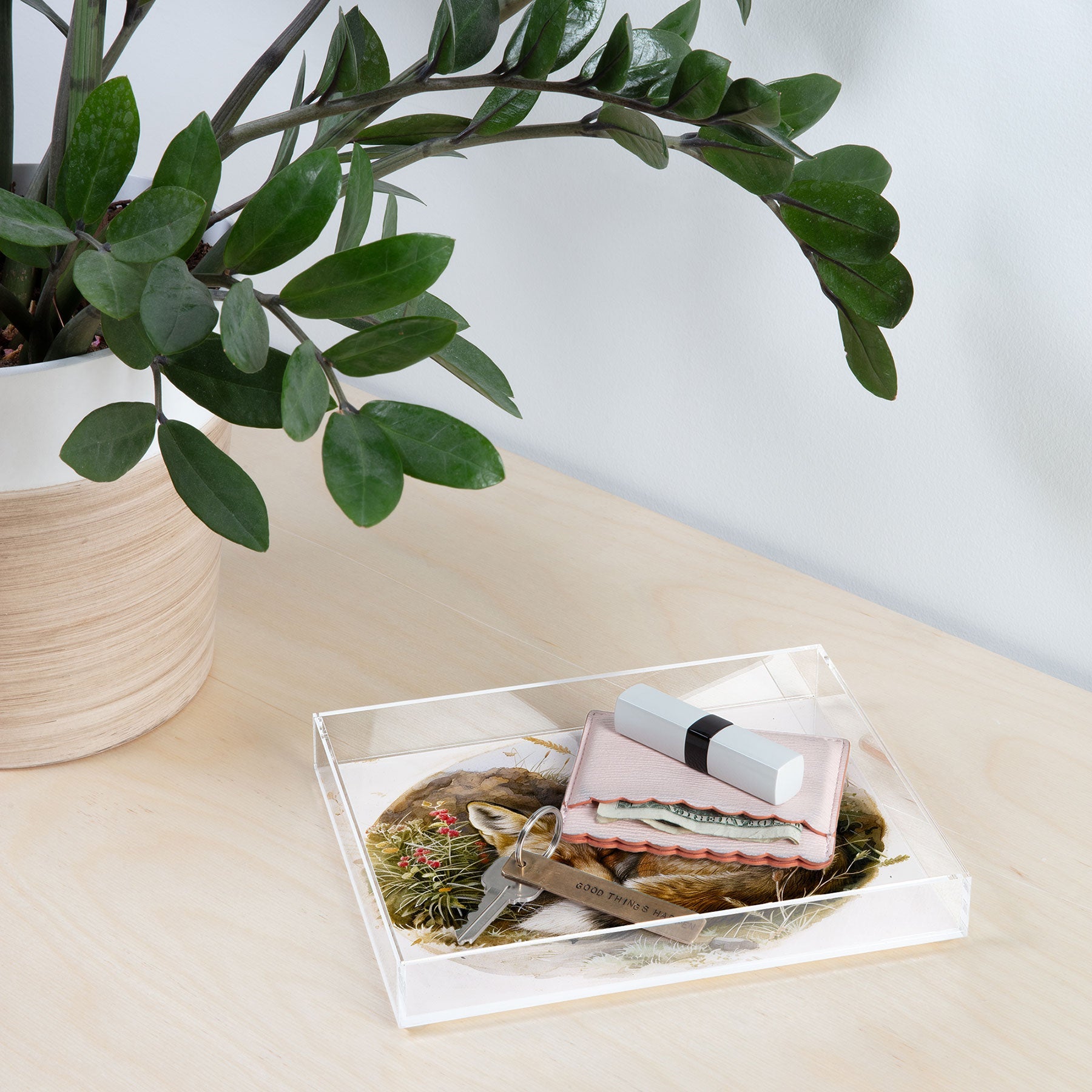 trajeado14 Fox Sleeping Vintage Illustration Acrylic Tray
