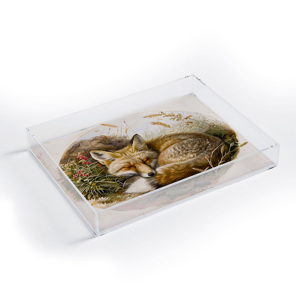 trajeado14 Fox Sleeping Vintage Illustration Acrylic Tray