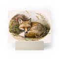 trajeado14 Fox Sleeping Vintage Illustration Mini Art Print