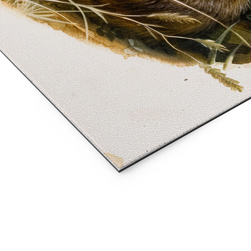 trajeado14 Fox Sleeping Vintage Illustration Welcome Mat
