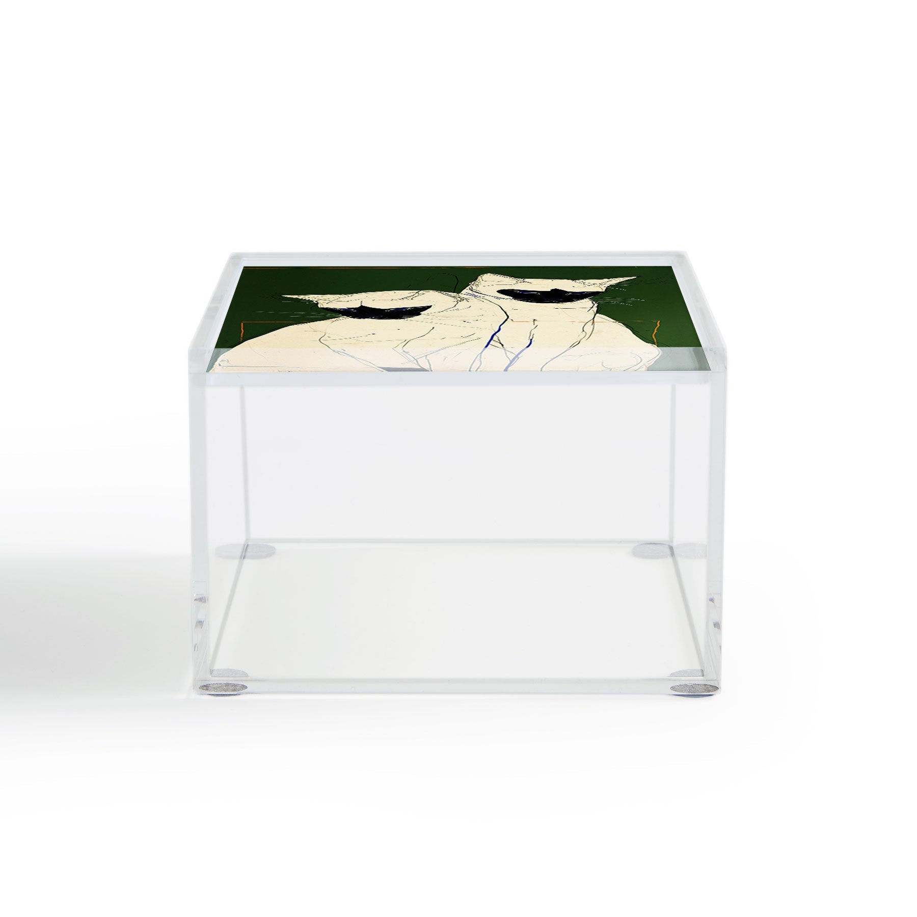 trajeado14 Siamese Cats Modern Art Acrylic Box