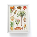 Gal Design Hawaii Collection Framed Mini Art Print