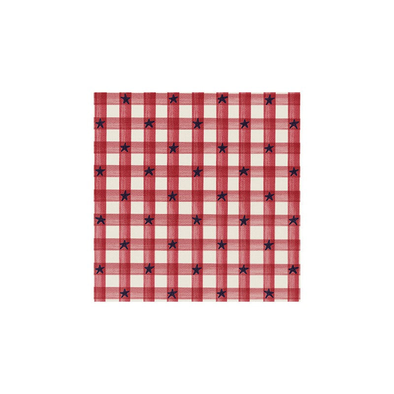 DENY Designs Red Gingham plus Stars Art Print