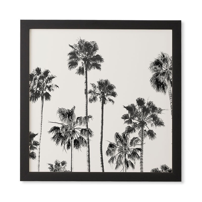 Gal Design Black And White Palms Framed Wall Art