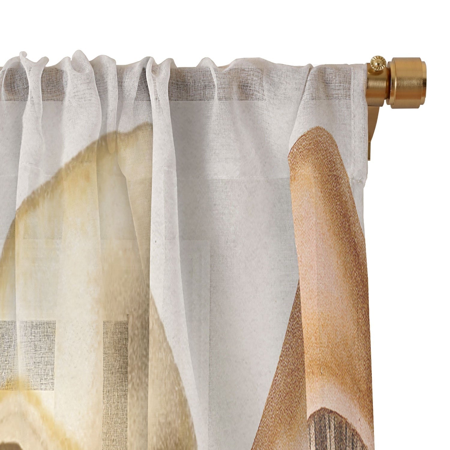 Gal Design Mushrooms Collection Sheer Non Repeat