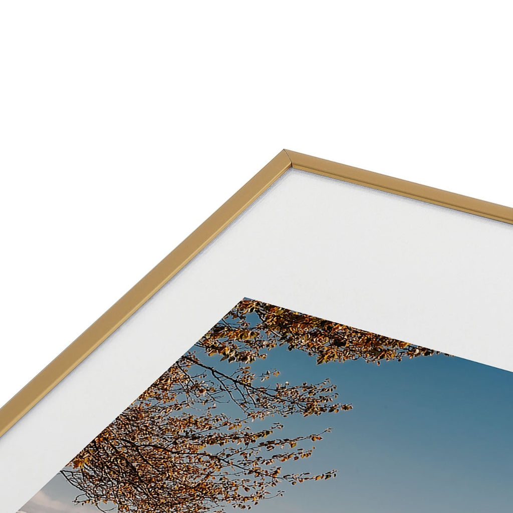 Hannah Kemp Homer Metal Framed Art Print