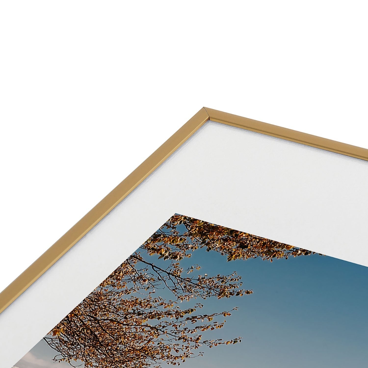 Hannah Kemp Homer Metal Framed Art Print