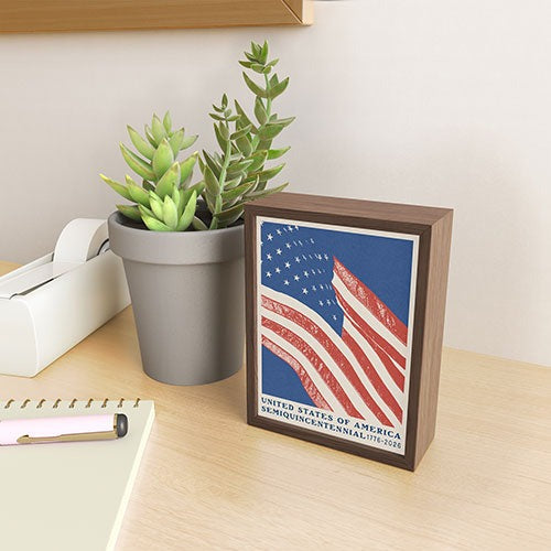 DENY Designs Stars n Stripes Semiquincentennial Framed Mini Art Print