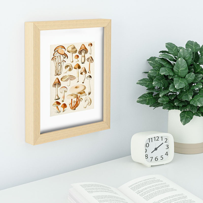 Gal Design Mushrooms Collection Recessed Framing Rectangle