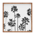 Gal Design Black And White Palms Square Tray