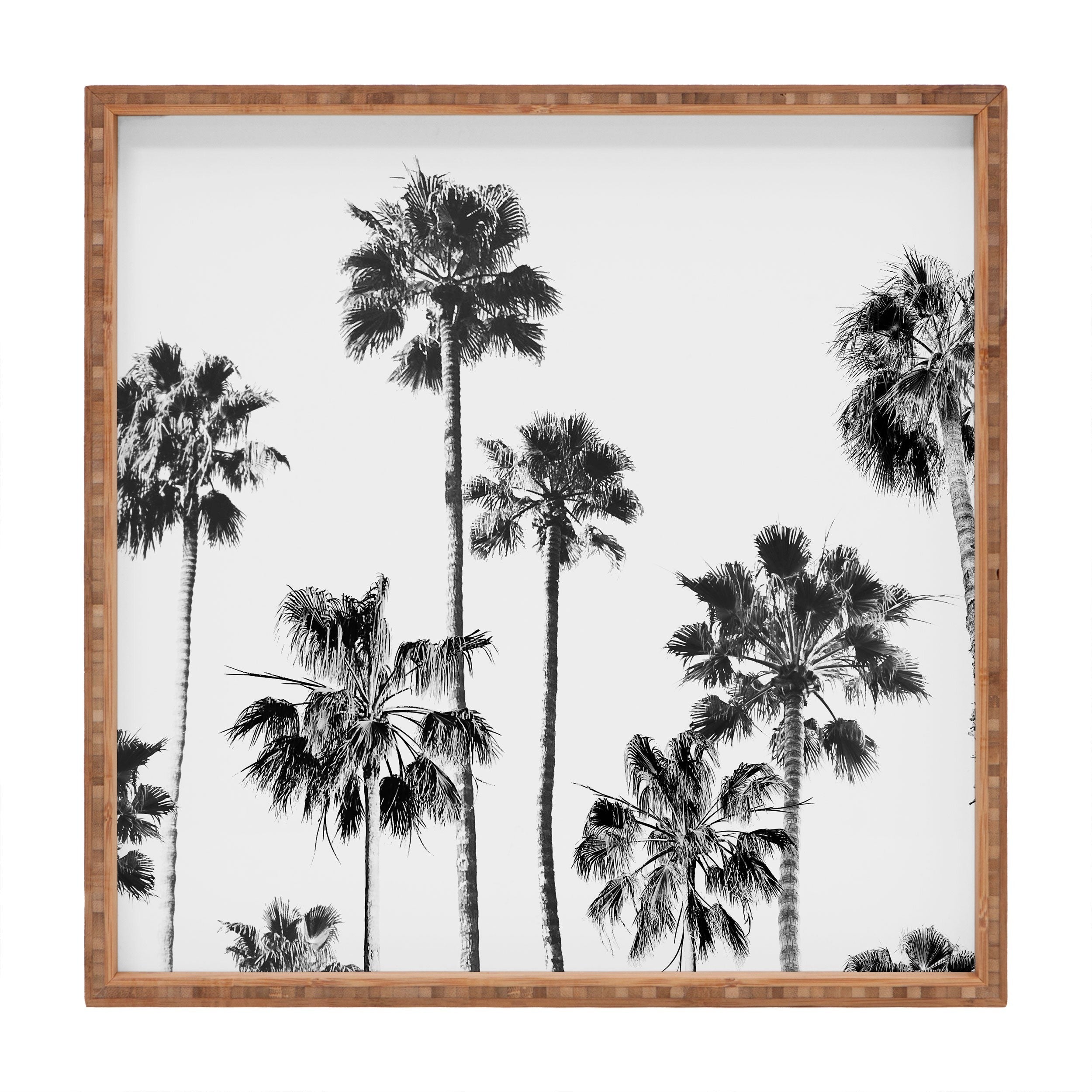 Gal Design Black And White Palms Square Tray