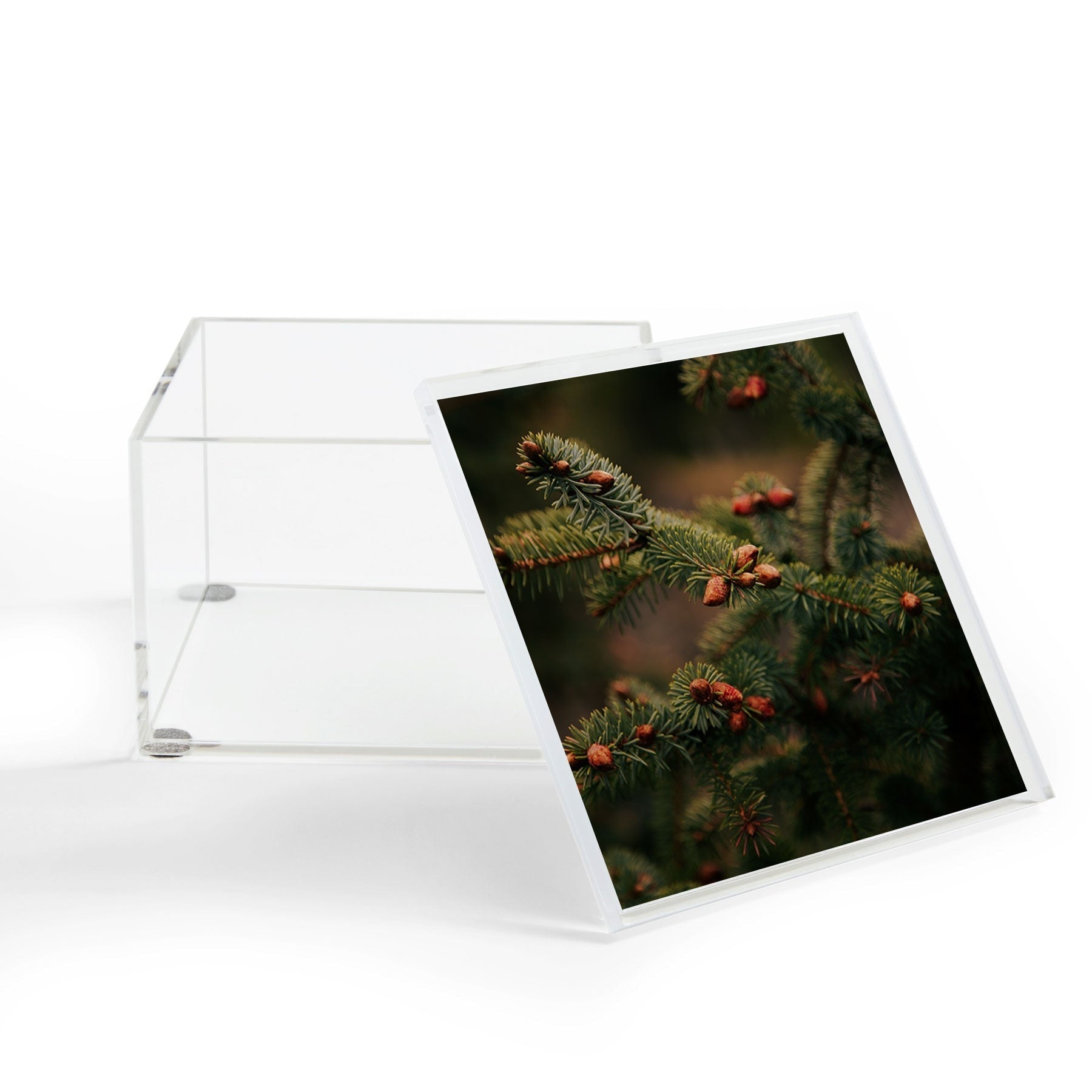 Hannah Kemp Spruce Tips Acrylic Box