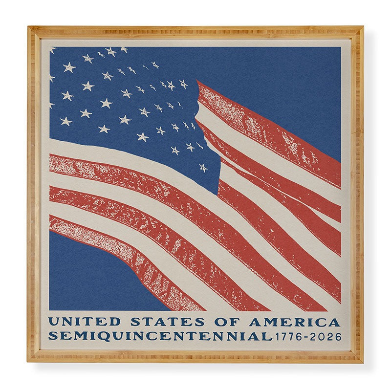 DENY Designs Stars n Stripes Semiquincentennial Framed Wall Art