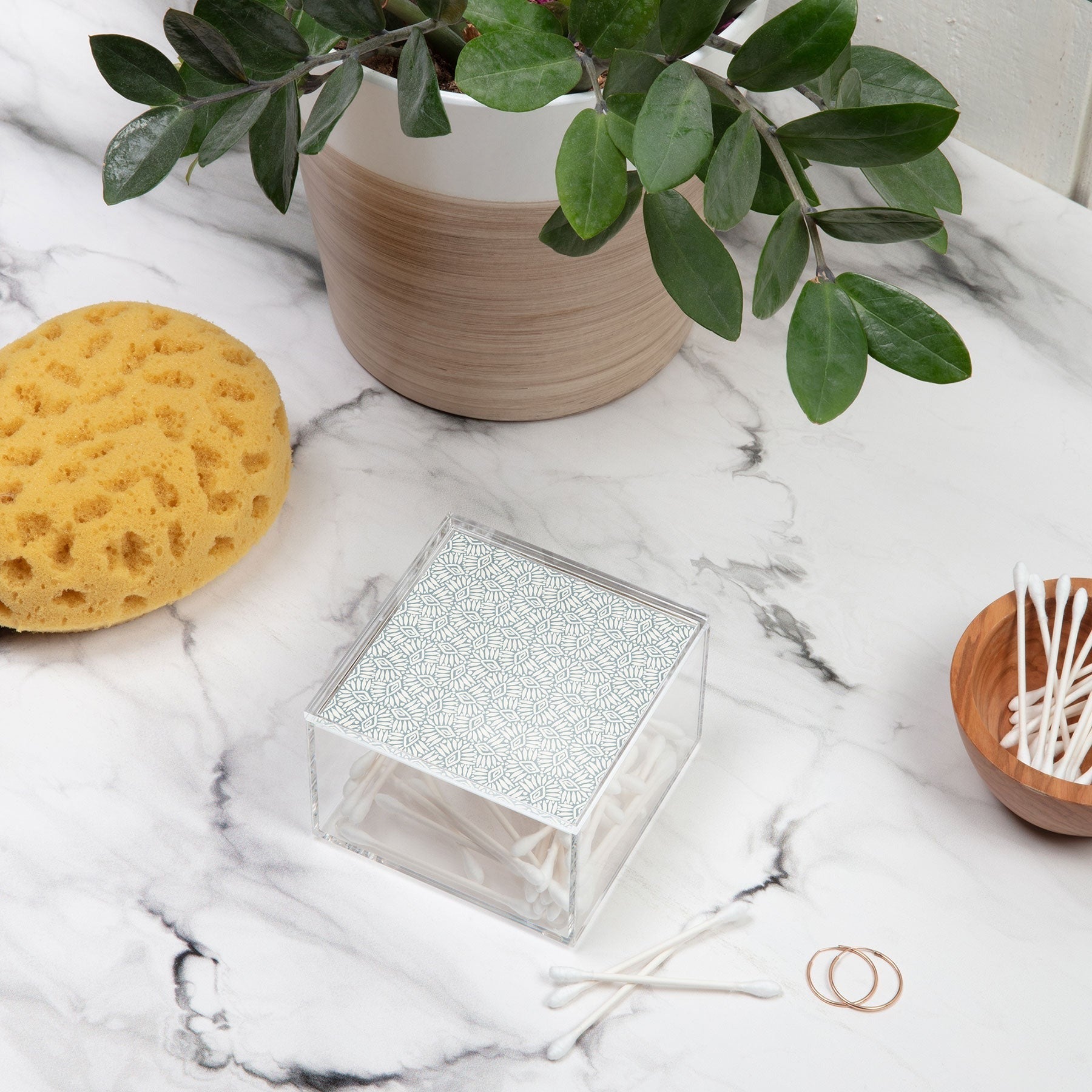 CoastL Studio Palm Ogee Acrylic Box