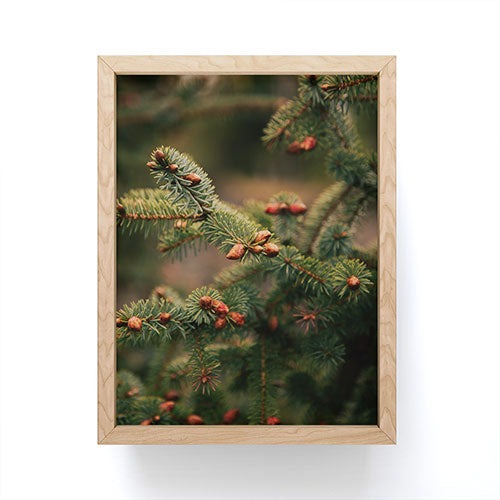 Hannah Kemp Spruce Tips Framed Mini Art Print
