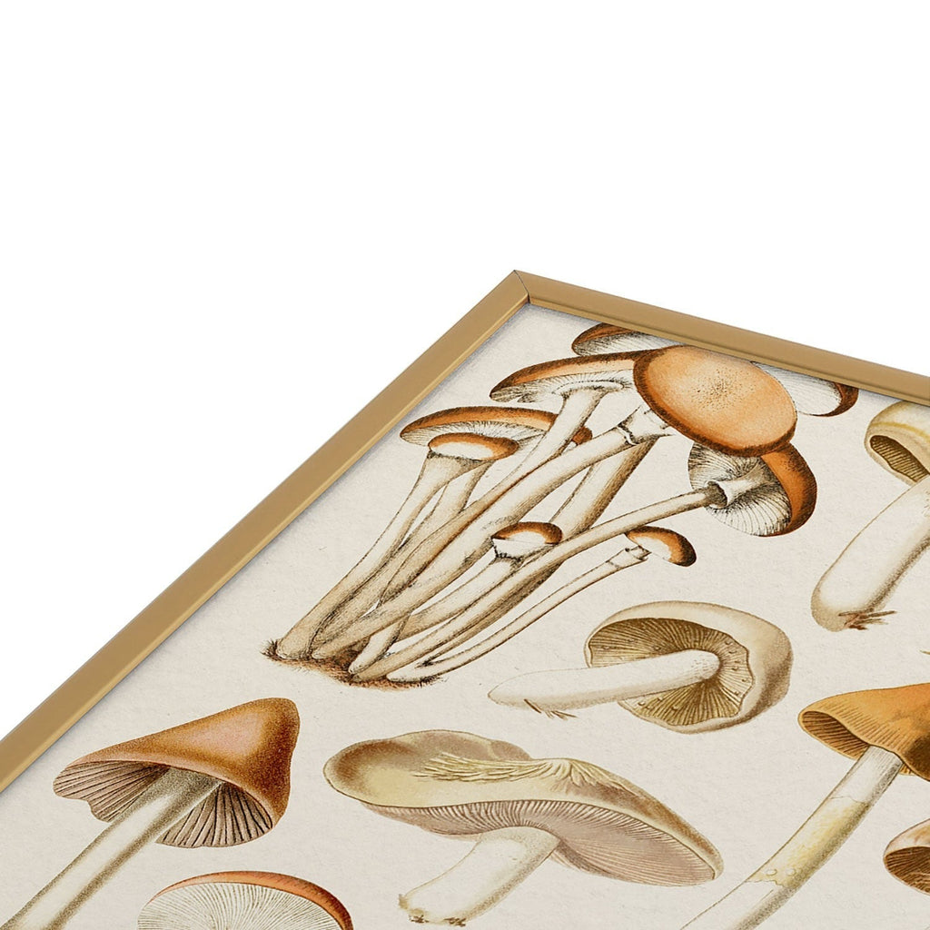Gal Design Mushrooms Collection Square Metal Framed Art Print