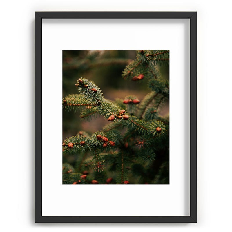 Hannah Kemp Spruce Tips Recessed Framing Rectangle