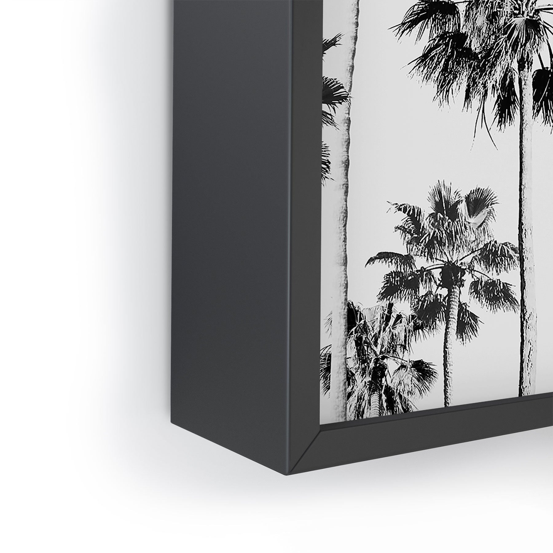 Gal Design Black And White Palms Framed Mini Art Print