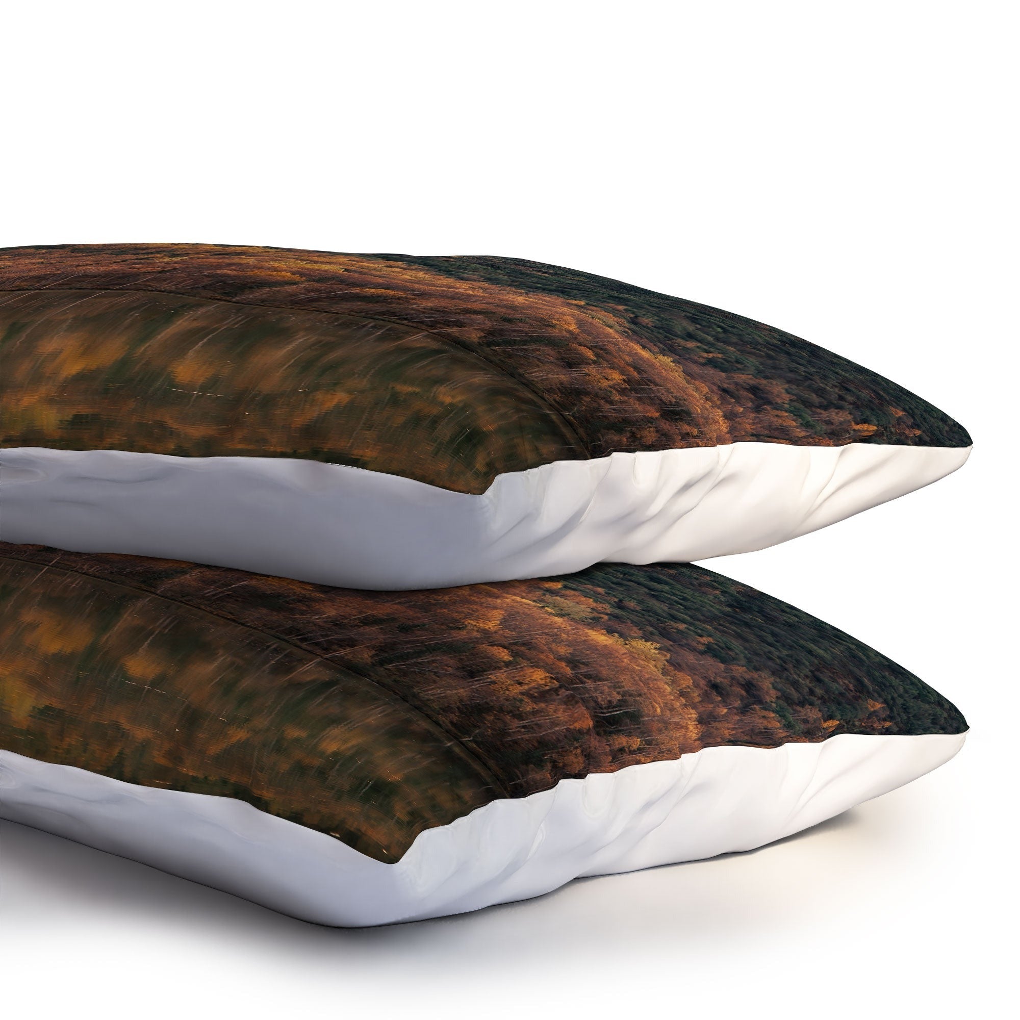 Hannah Kemp Fall Lake Pillow Shams