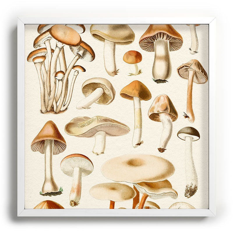 Gal Design Mushrooms Collection Recessed Framing Square