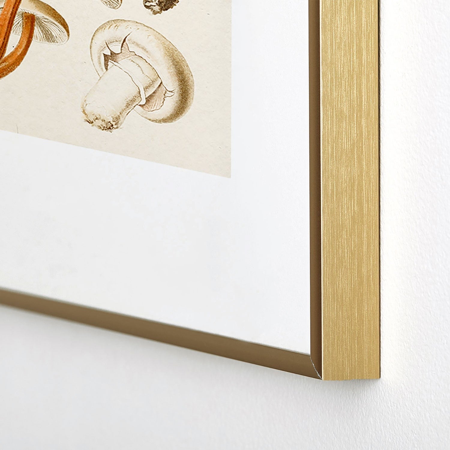 Gal Design Mushrooms Collection Metal Framed Art Print