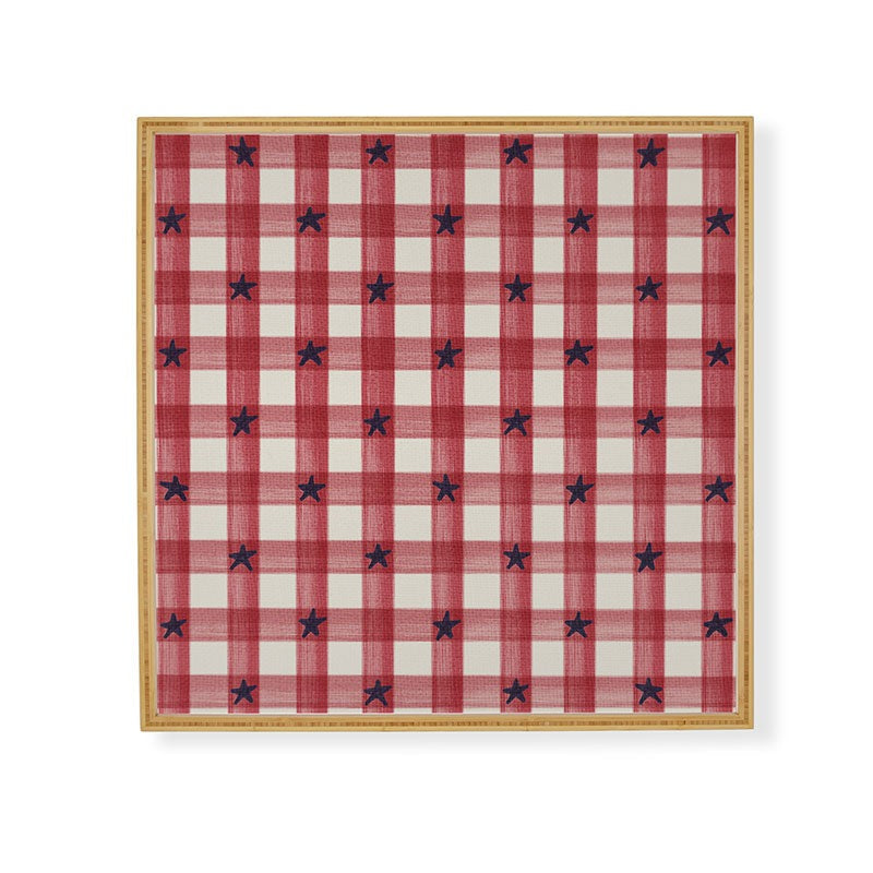 DENY Designs Red Gingham plus Stars Framed Wall Art