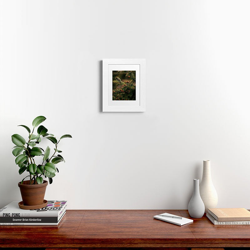 Hannah Kemp Spruce Tips Framed Art Print