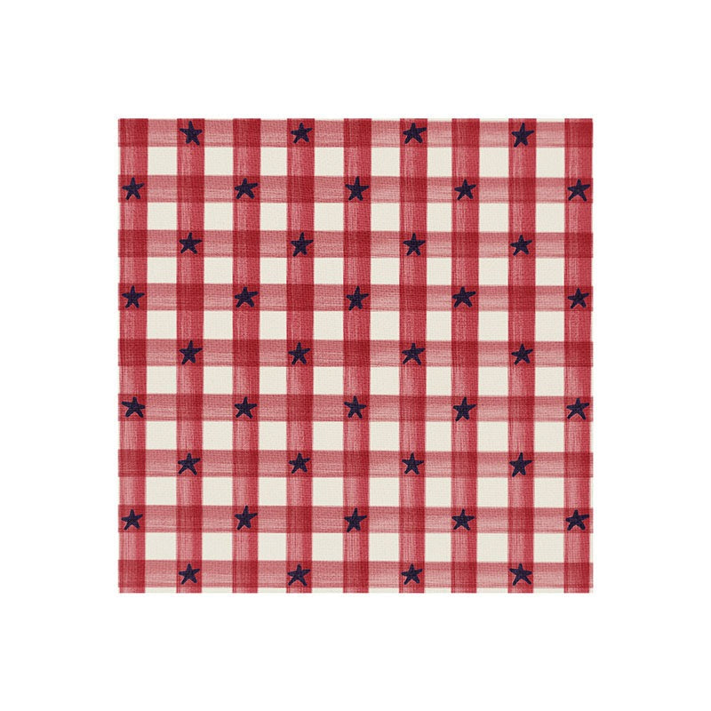 DENY Designs Red Gingham plus Stars Art Print