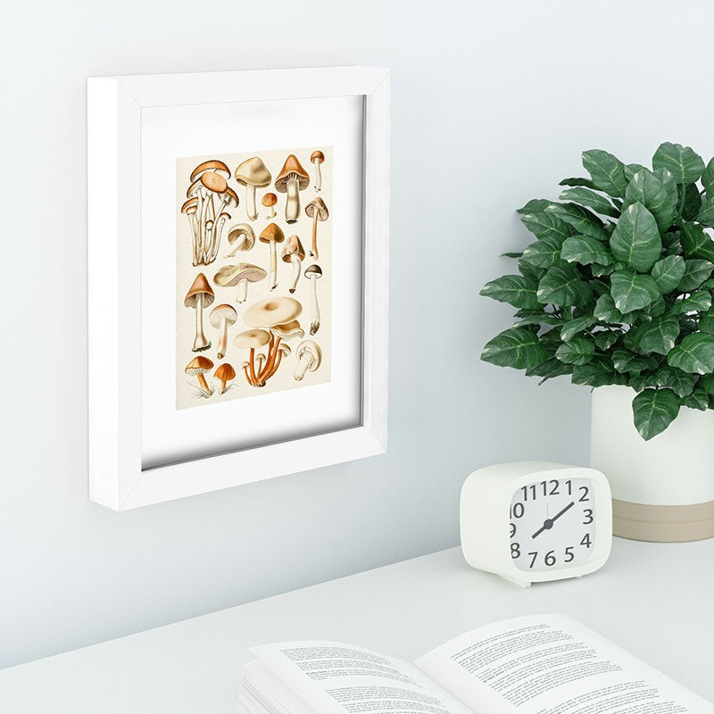 Gal Design Mushrooms Collection Recessed Framing Rectangle