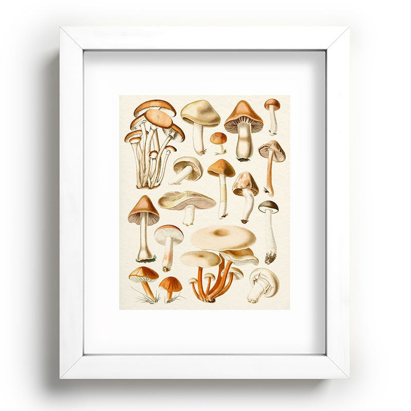 Gal Design Mushrooms Collection Recessed Framing Rectangle
