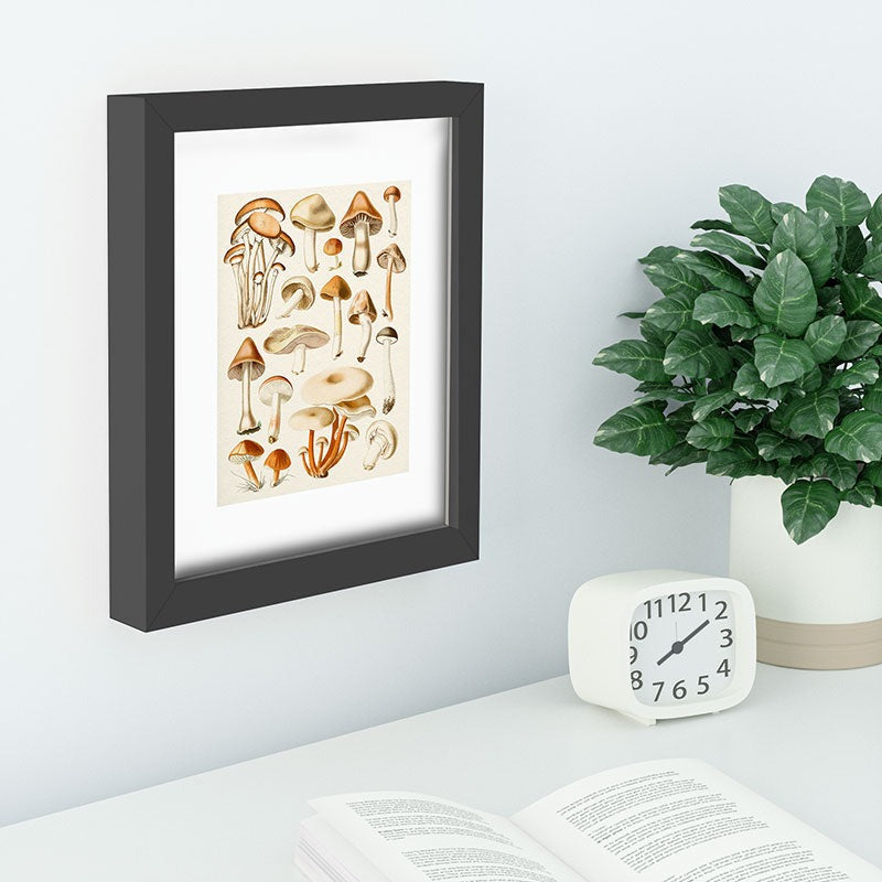 Gal Design Mushrooms Collection Recessed Framing Rectangle