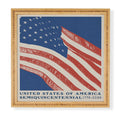 DENY Designs Stars n Stripes Semiquincentennial Framed Wall Art