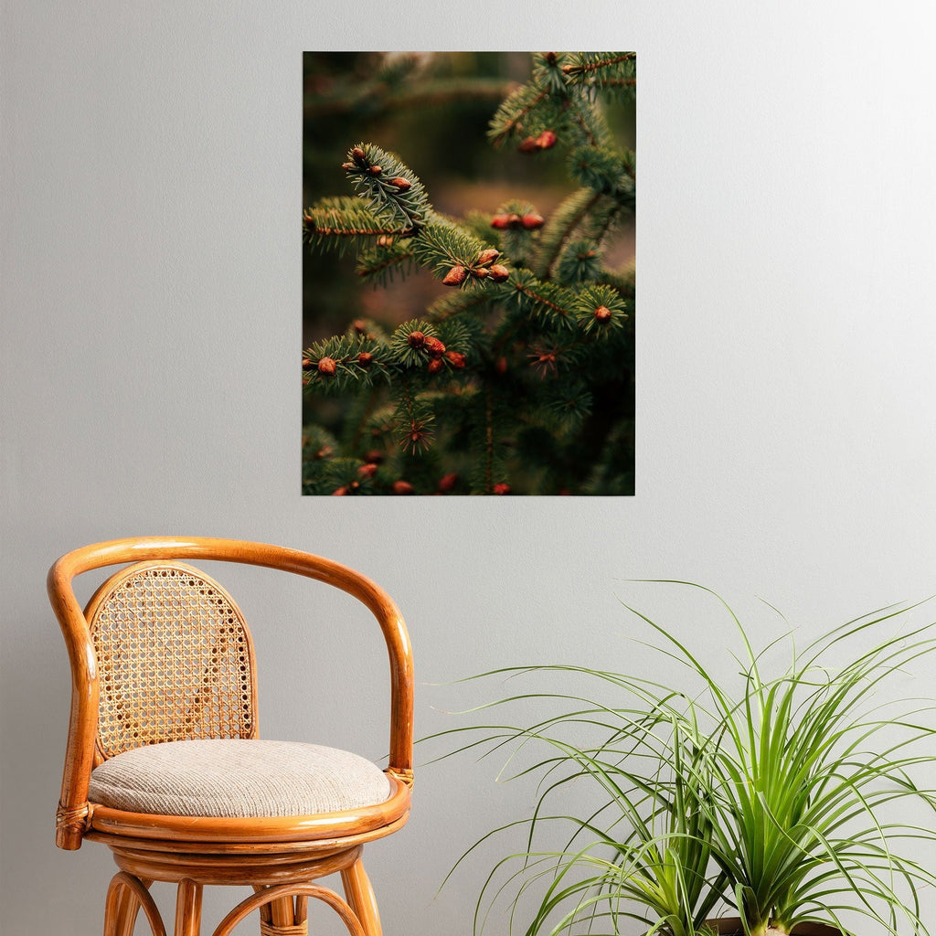 Hannah Kemp Spruce Tips Poster