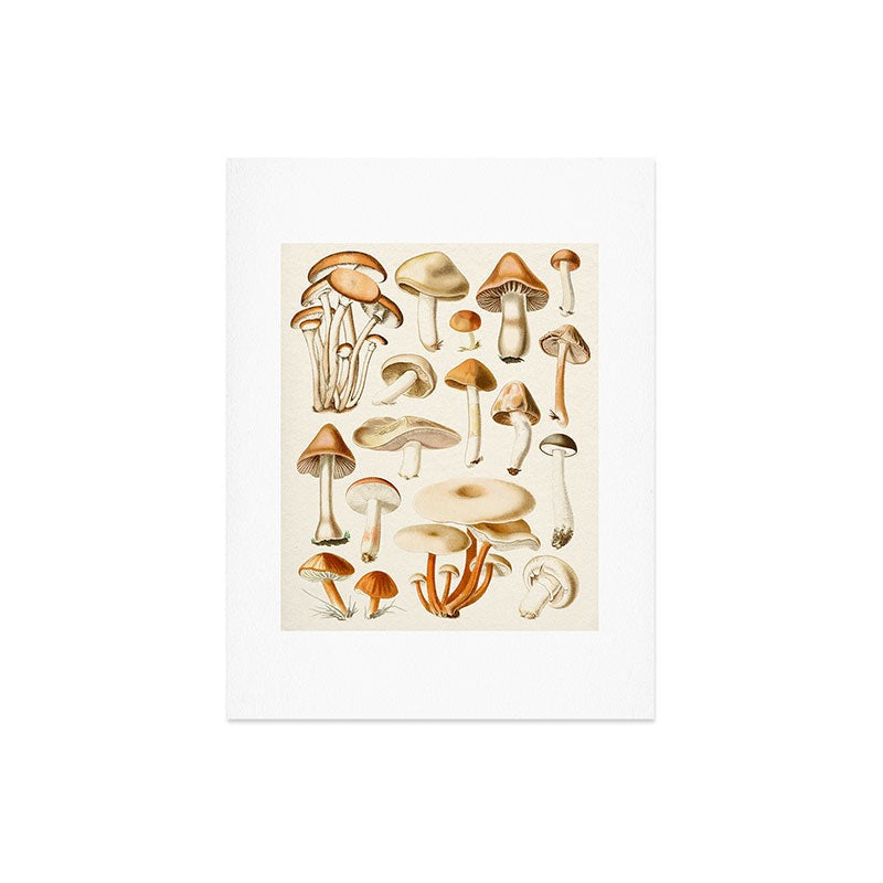 Gal Design Mushrooms Collection Art Print