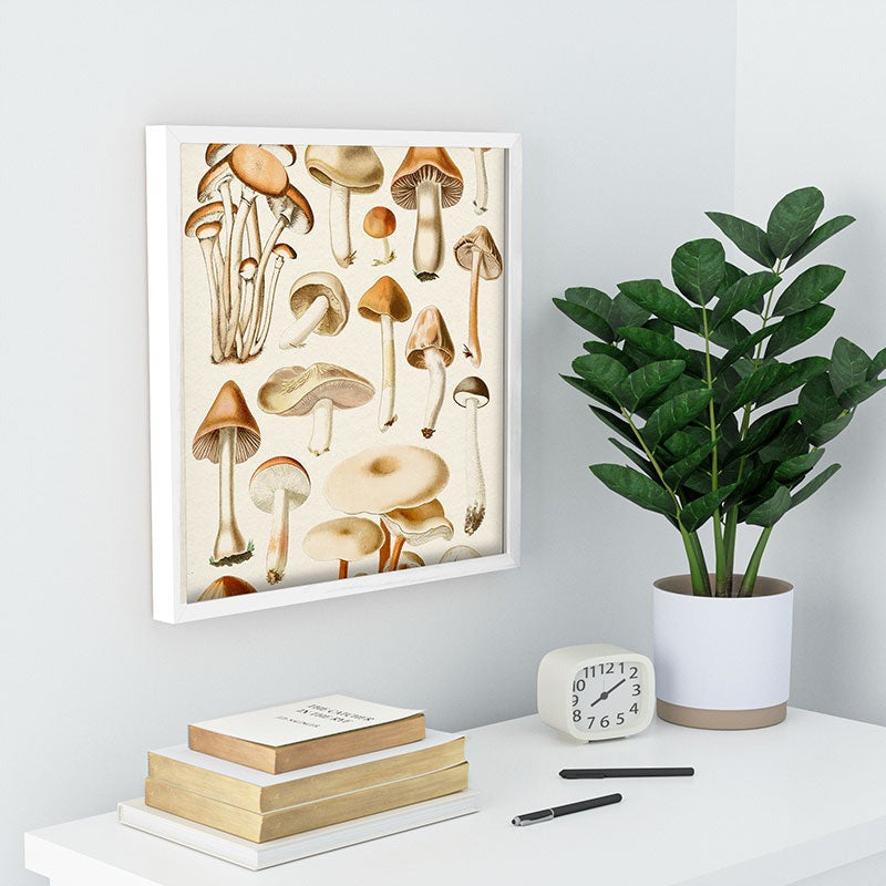 Gal Design Mushrooms Collection Recessed Framing Square